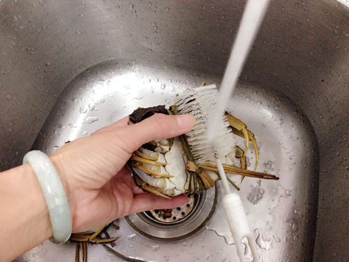怎么洗大闸蟹不被夹