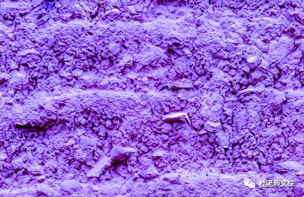 紫色盆地