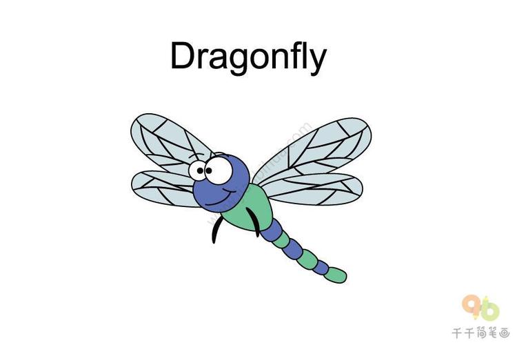 蜻蜓的英文