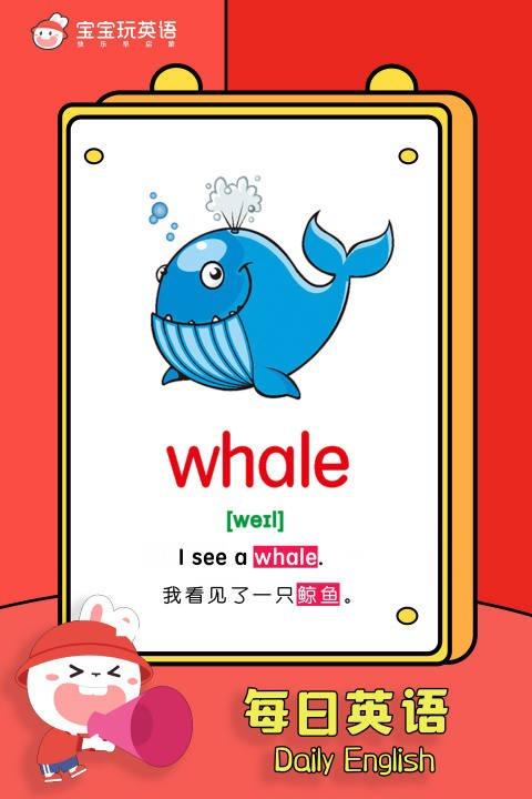 鲸鱼英语怎么说