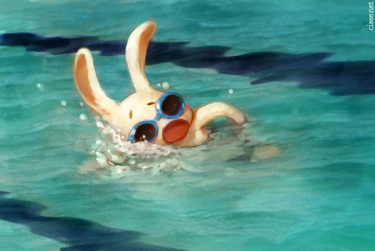 兔子游泳的相关图片