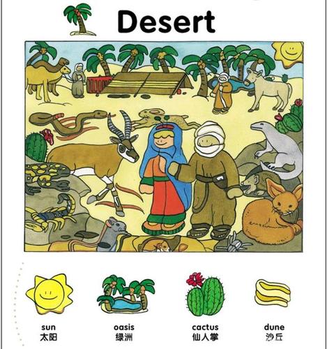 沙漠英文的相关图片