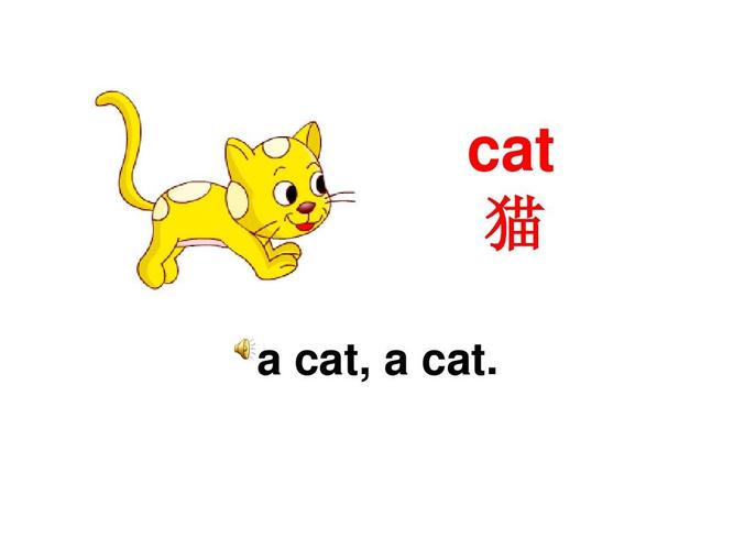 猫的英语的相关图片